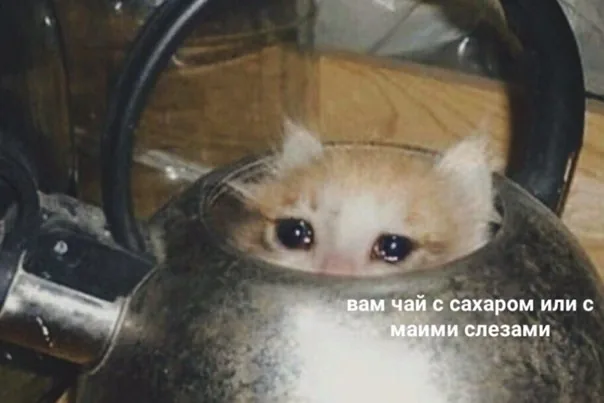 Мем